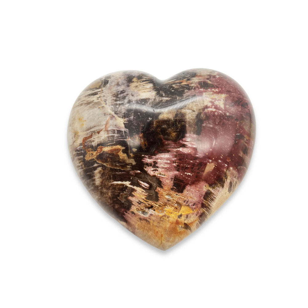 Coeur en Bois Fossilisé - 9 cm