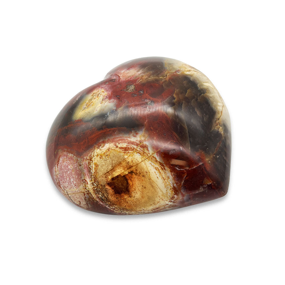 Coeur en Bois Fossilisé - 8 cm
