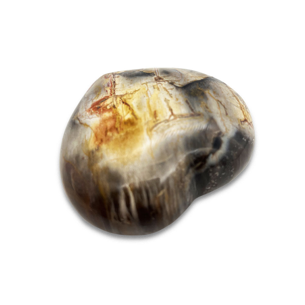 Coeur en Bois Fossilisé - 6 cm