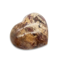 Coeur en Bois Fossilisé - 7,5 cm