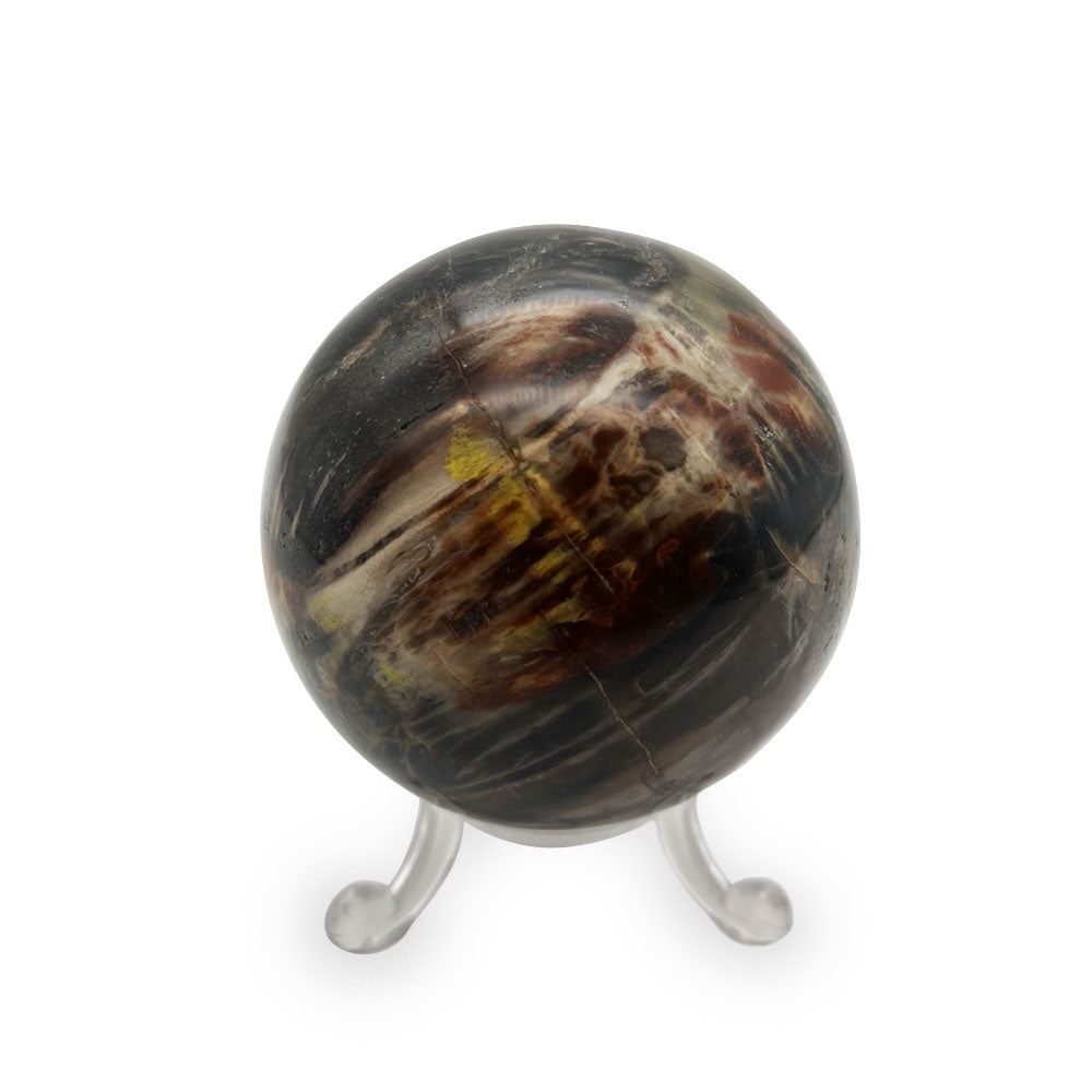 Sphère en Bois Fossilisé
