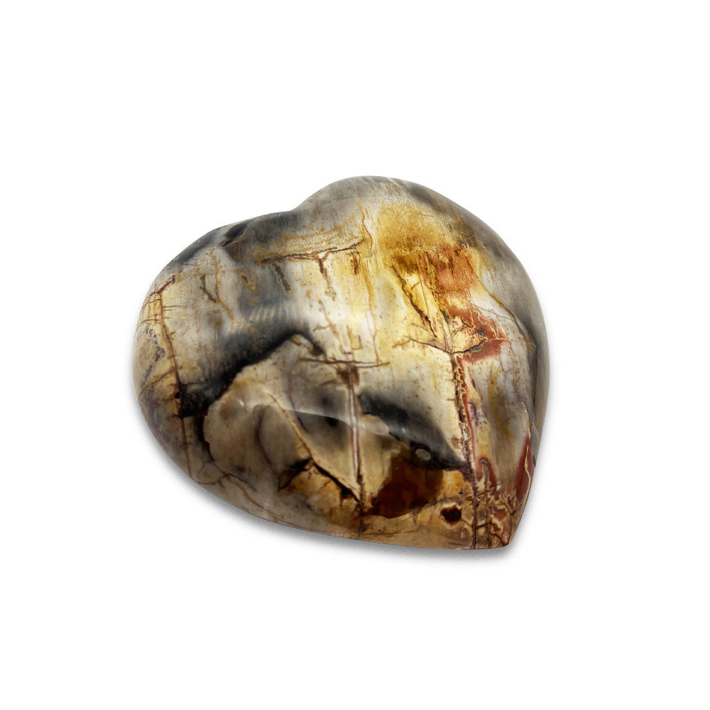 Coeur en Bois Fossilisé - 6 cm